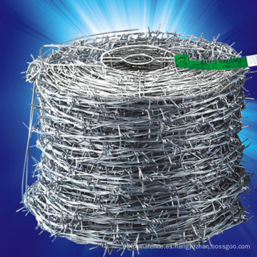 Valla de seguridad Hot Dipped Gaivanized Barbed Wire